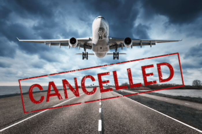 Cancelled cancellation insurance vuelo warnt lufthansa dtric cancelan canceled airline brigitte cancelado booked versicherungen wegen denis belitsky