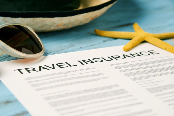 Insurance travel travelalerts