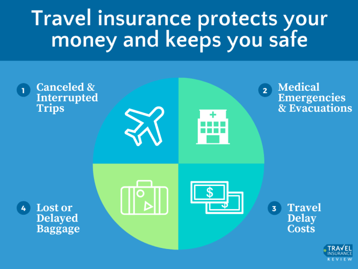 Travelers travelinsurance coverage allows decipher